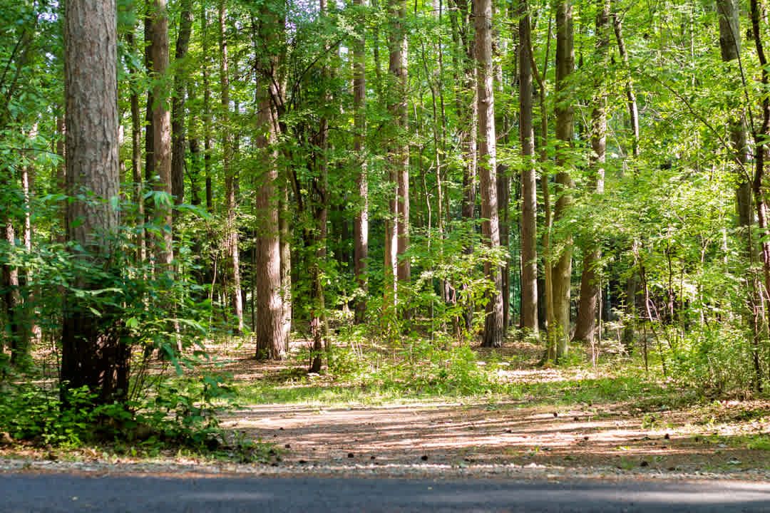 The entire campground is very nice and well maintained. There are also well-marked trails that lead to the waterfalls.