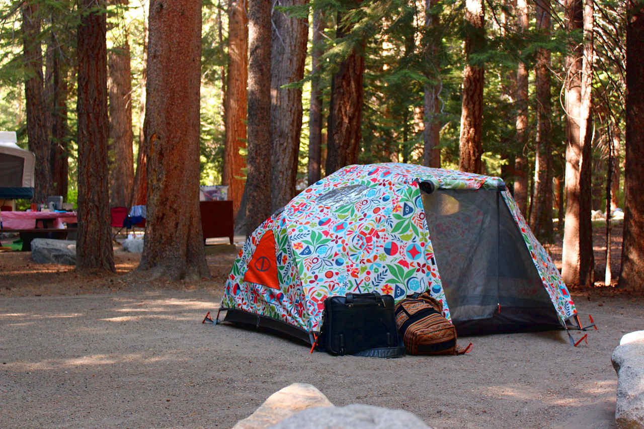 Big Bend Campground