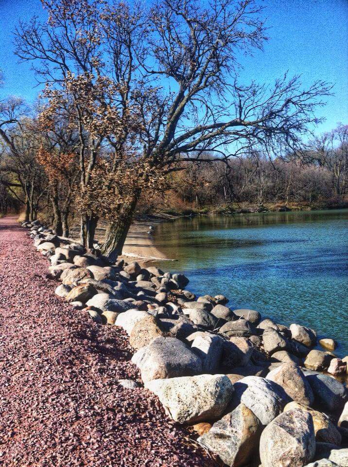 If you love a good rocky beach in Minnesota , Lake Shetek State Park is the place to go . 