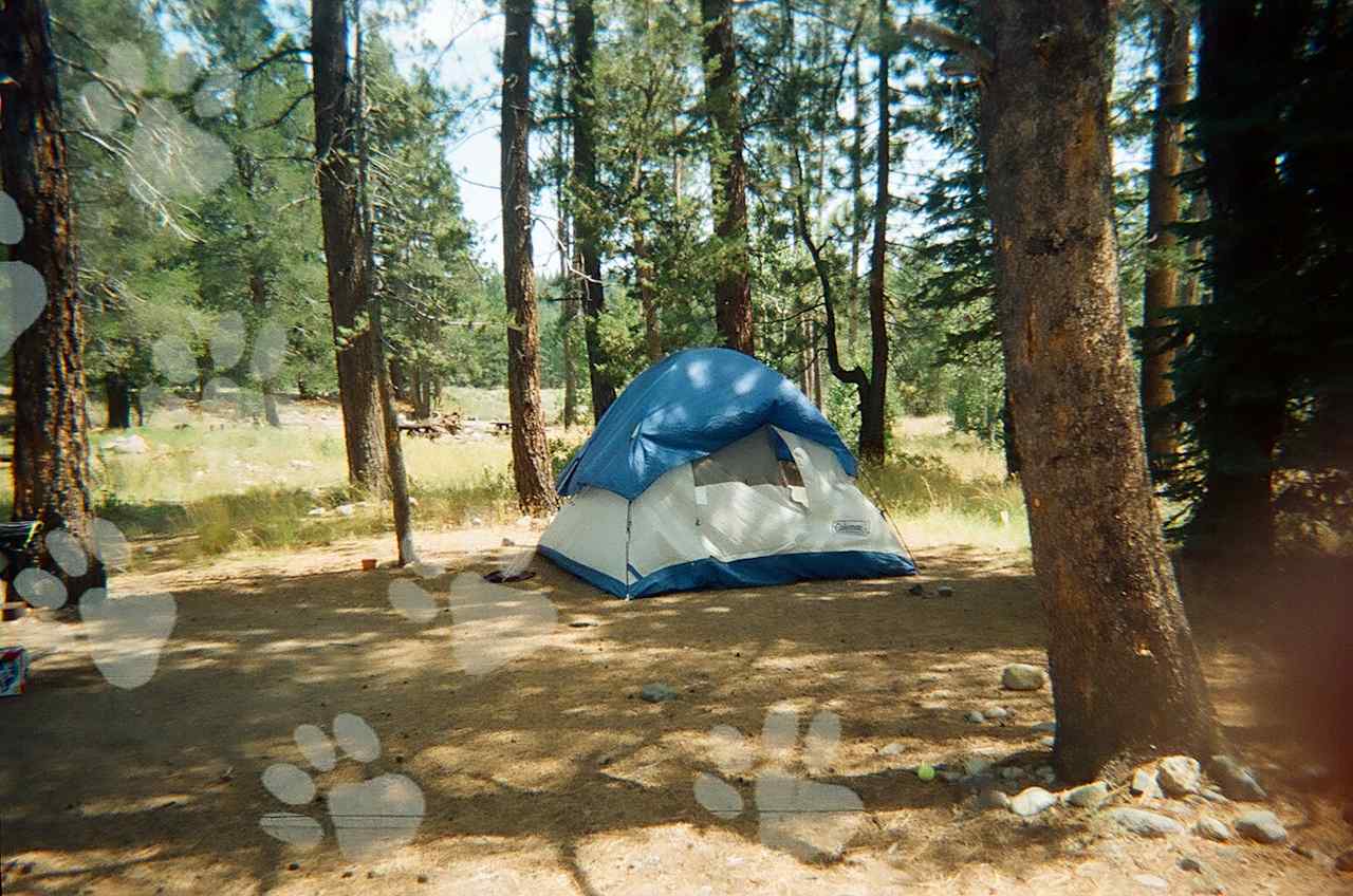 Lower Little Truckee Campground