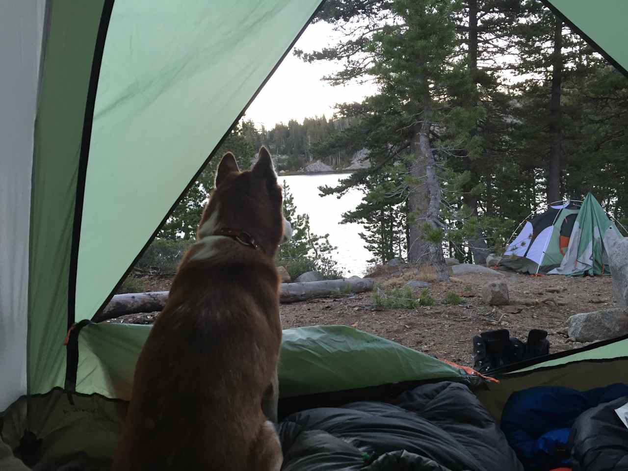 Grouse Ridge Campground