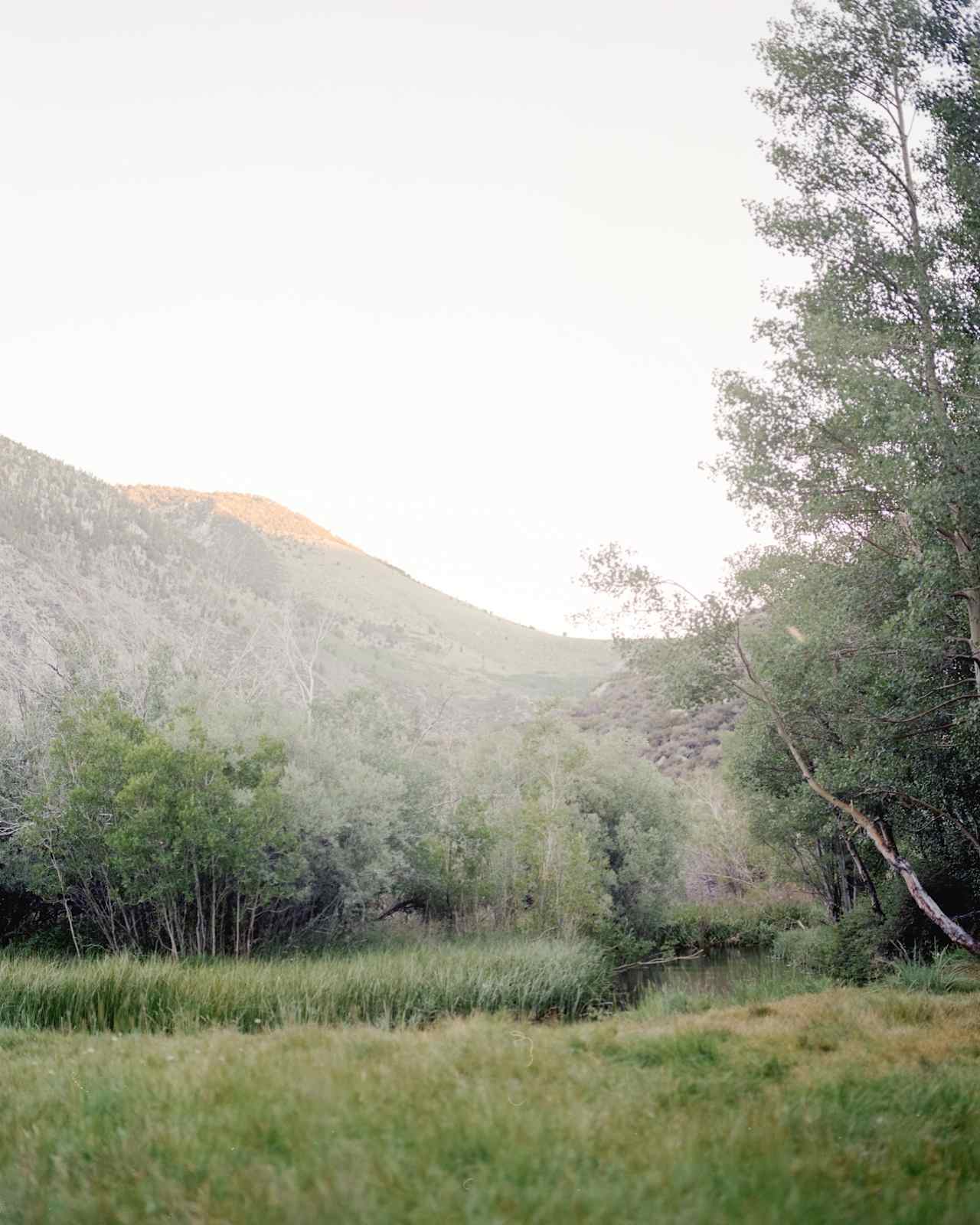 The creek and meadow that runs 20 feet from the campsite.