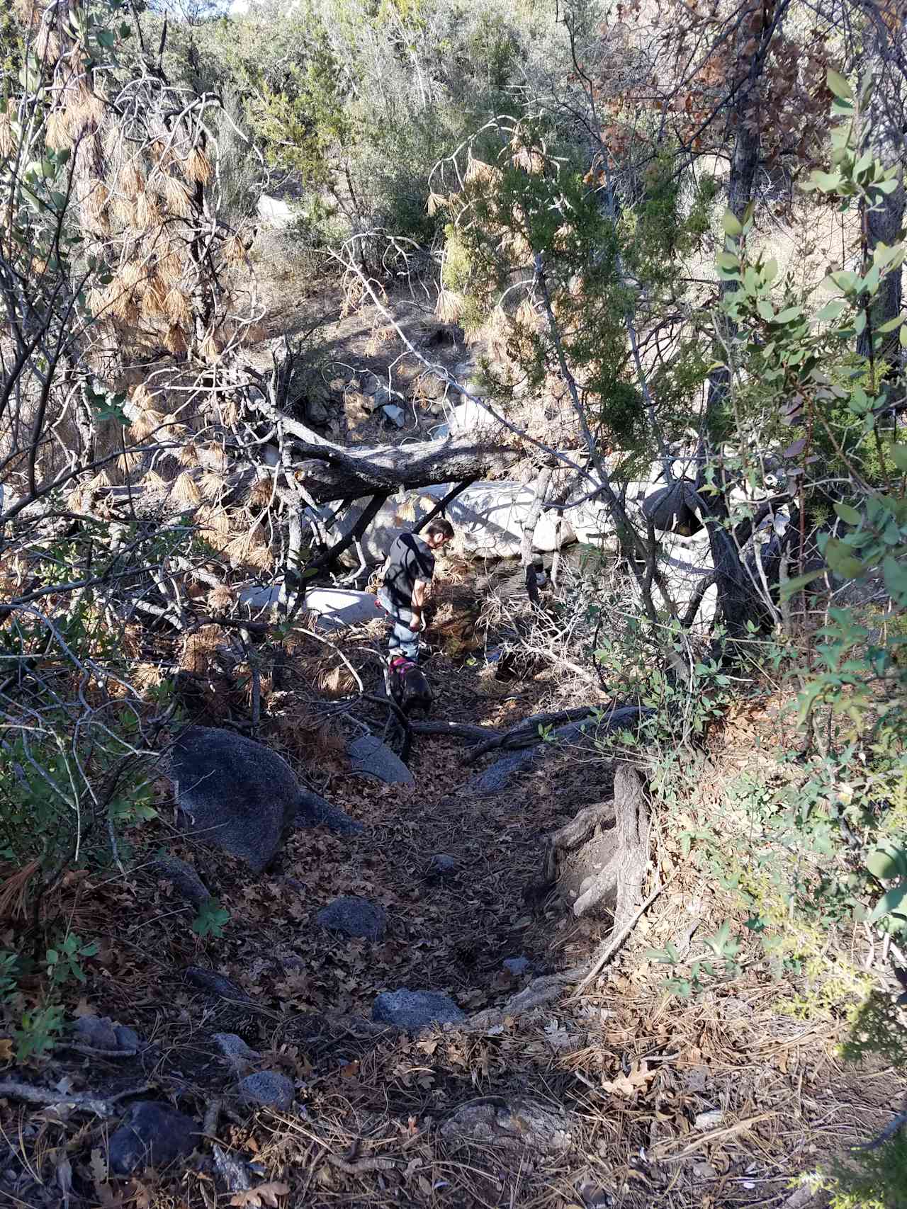 Stream at the beginning of the trail