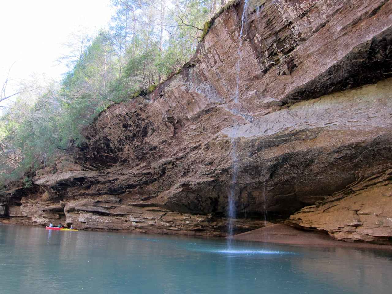 Great paddling on the lake and the Sipsey Fork nearby