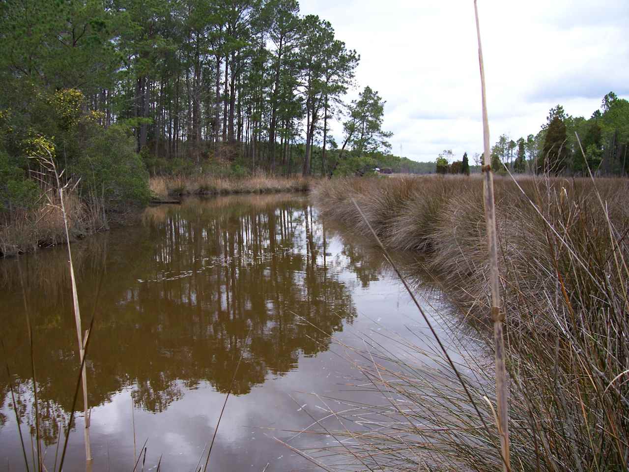 Intercoastal Seclusion in NC