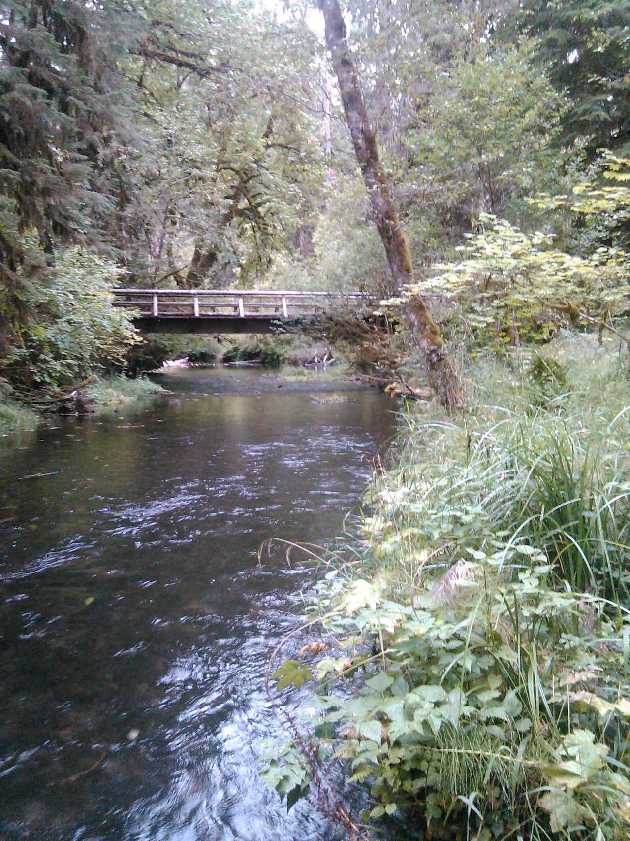 view of bridge 