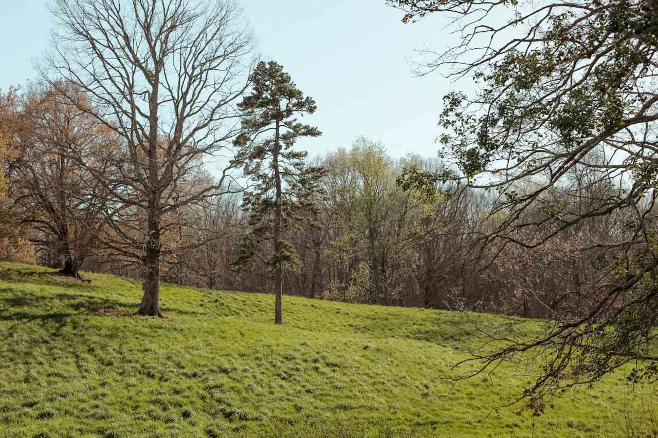 A vast amount of greenery and trees are spread across the hills on this property. 