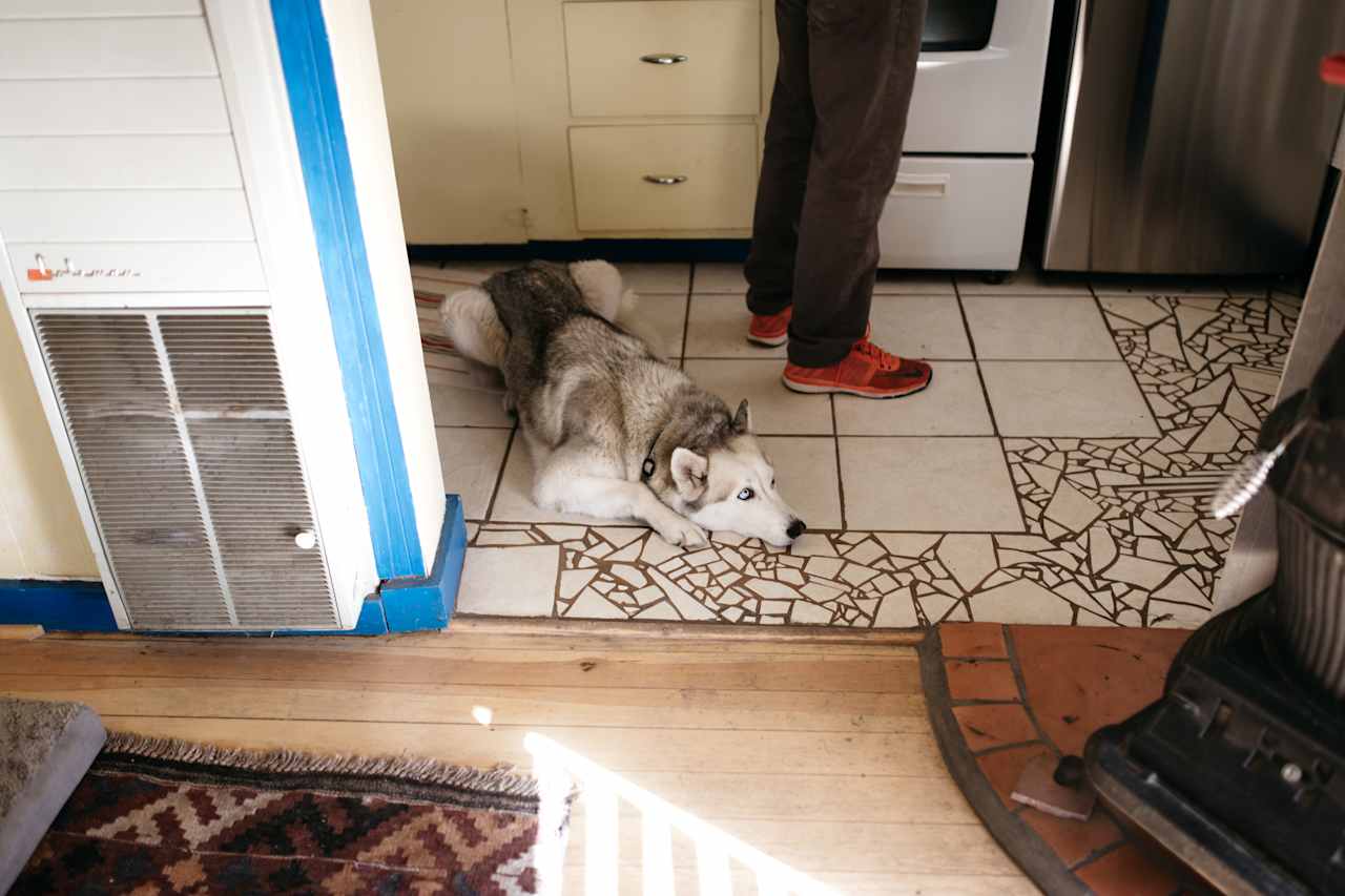 Patiently waiting for dinner. We were so appreciative to know they allow dogs! It's hard to find places that do. But just make sure your dog does not get on the furniture! Pet hair is so hard to get out of furniture.