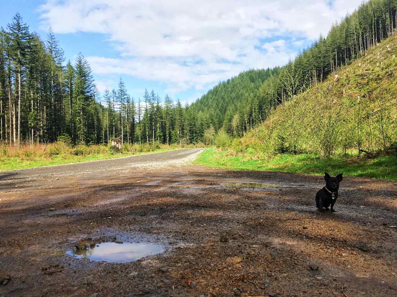 The rain cleared for a few minutes when we arrived and it was absolutely beautiful.