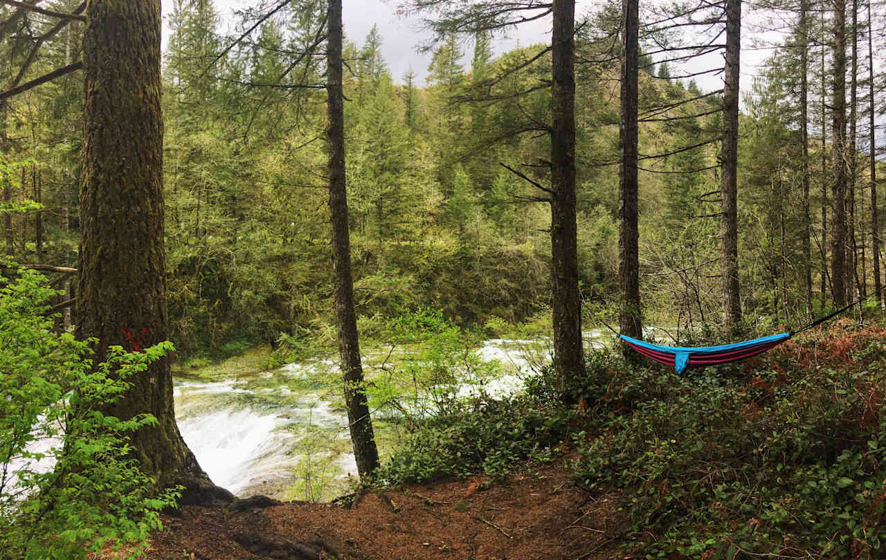 Naturally the first thing we did was set up the hammock.