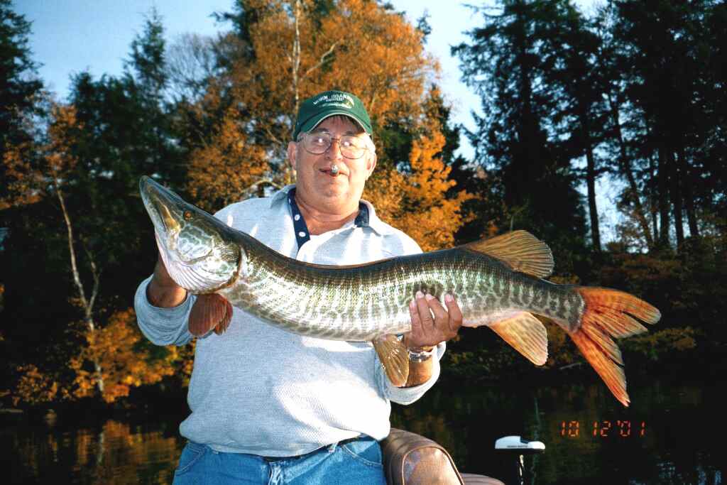 Great fishing for all game fish.  Walleye crappie, panfish northern and, the up north favorite, a trophy MUSKY!