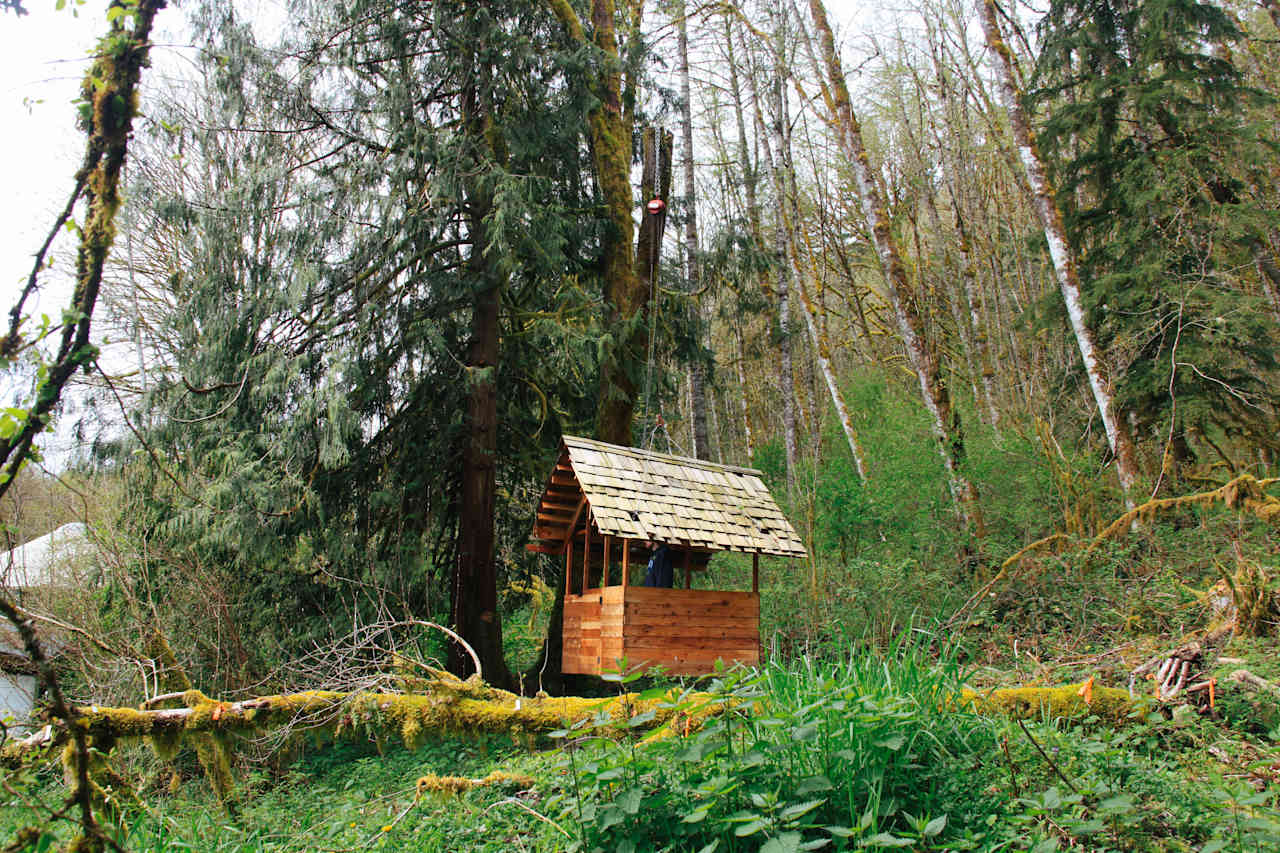 View looking out from the backside of the property, surrounded by lush greenery.