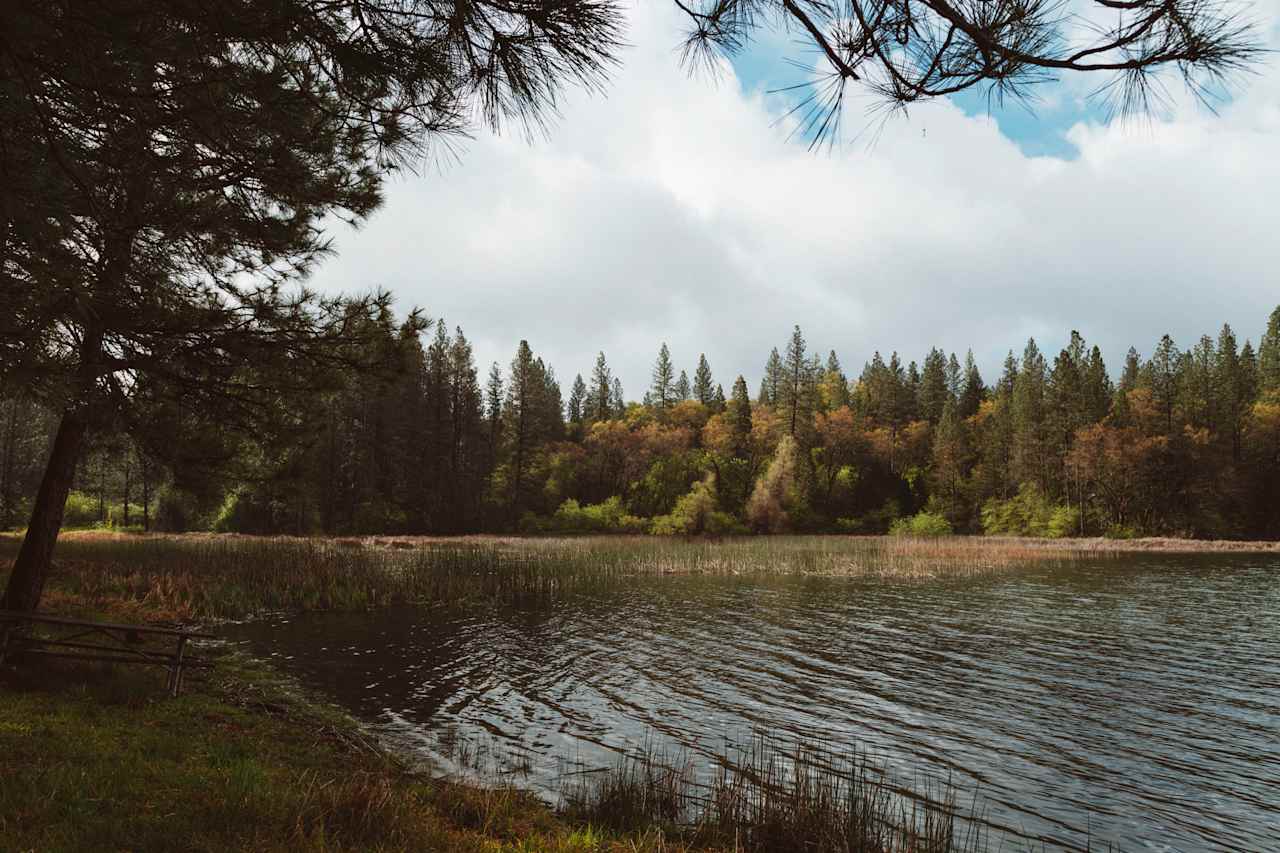 View of the reservoir from our campsite on the lake front. Note: No swimming allowed, but it makes for a beautiful site. You can also drive down the road not too far to Lake Oroville if you want to swim for the day.