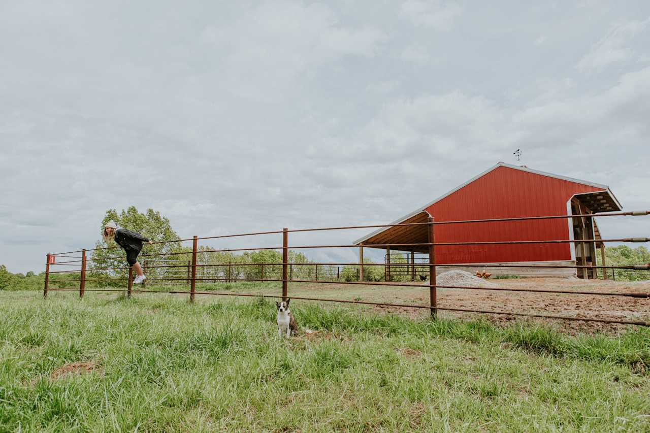 Selby Farm Horse Retirement