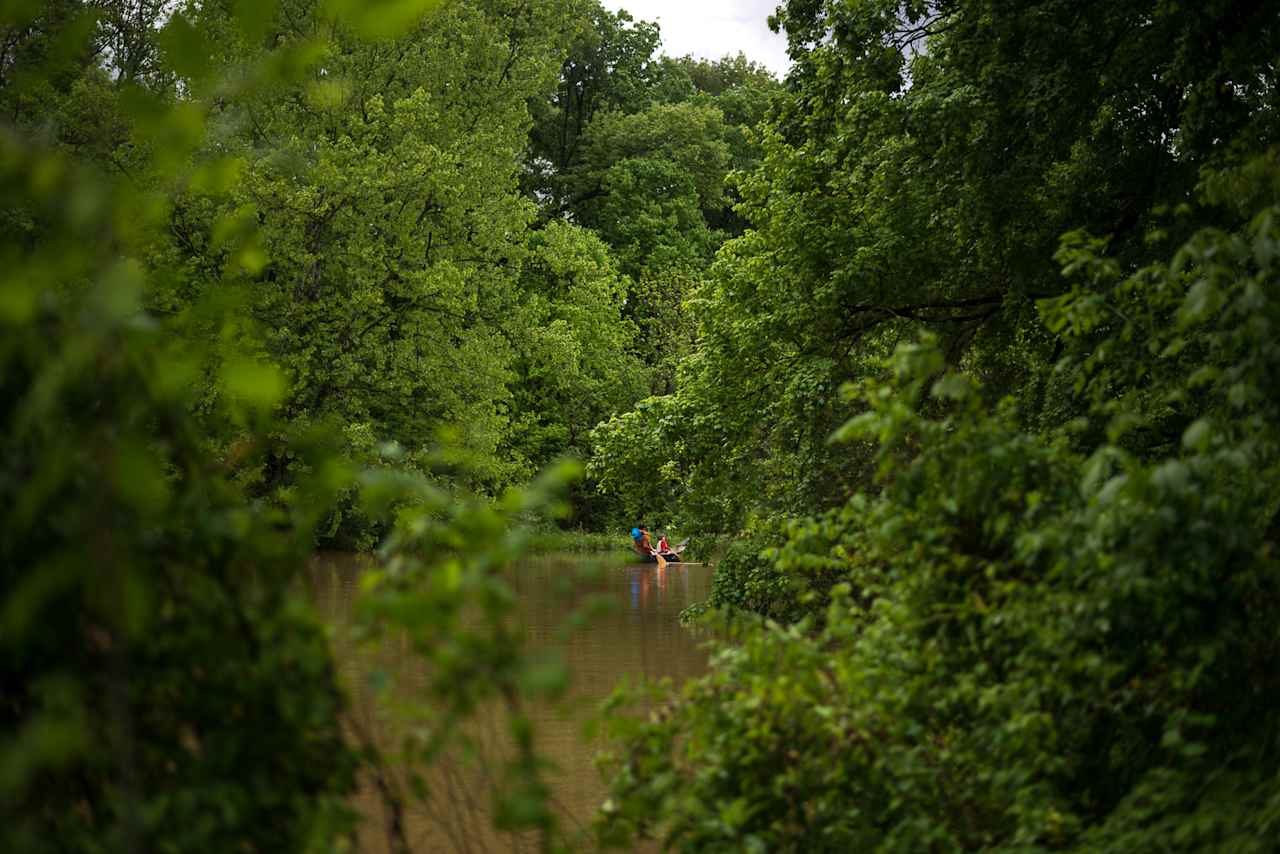 15 Acre Wood on Lake