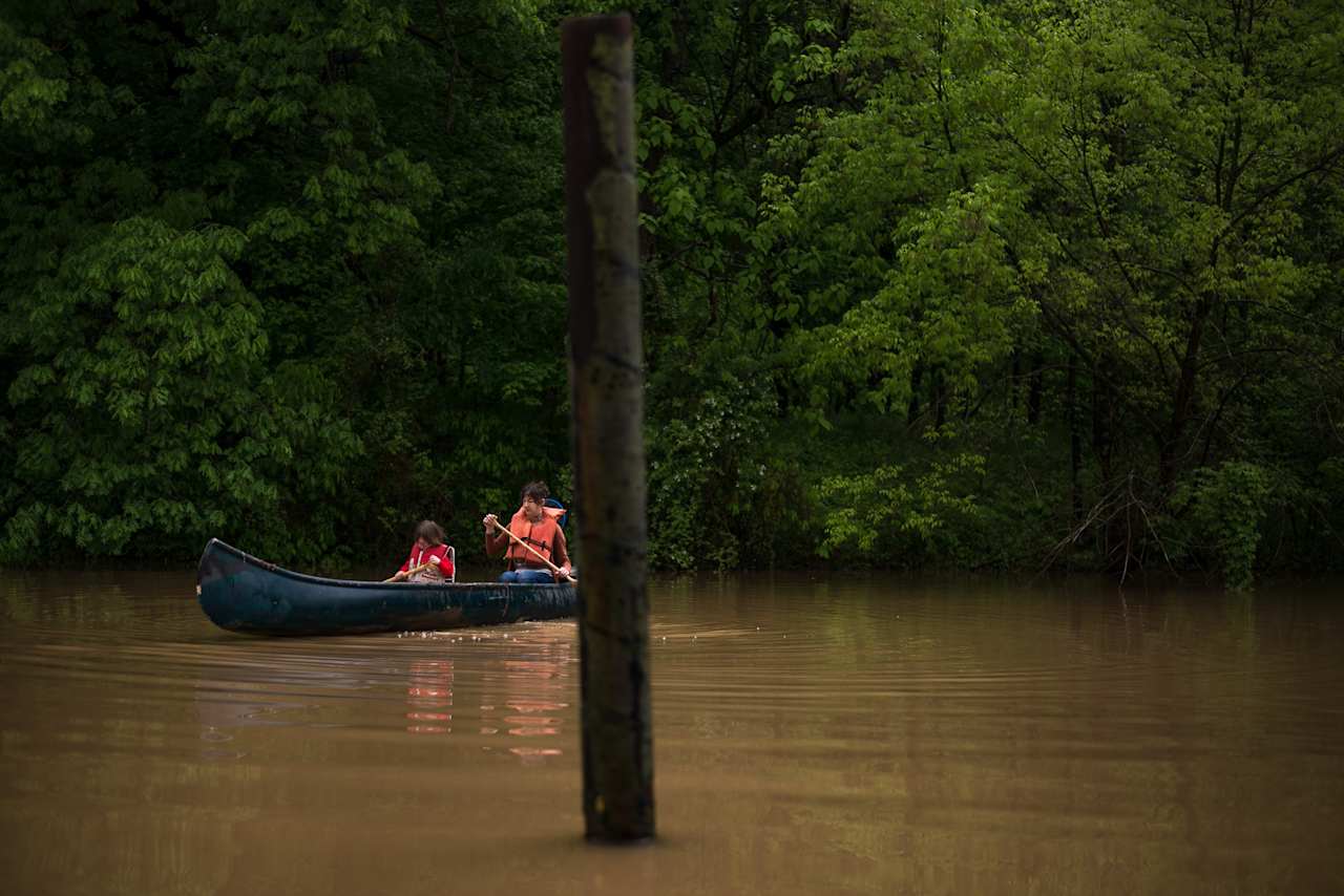 15 Acre Wood on Lake