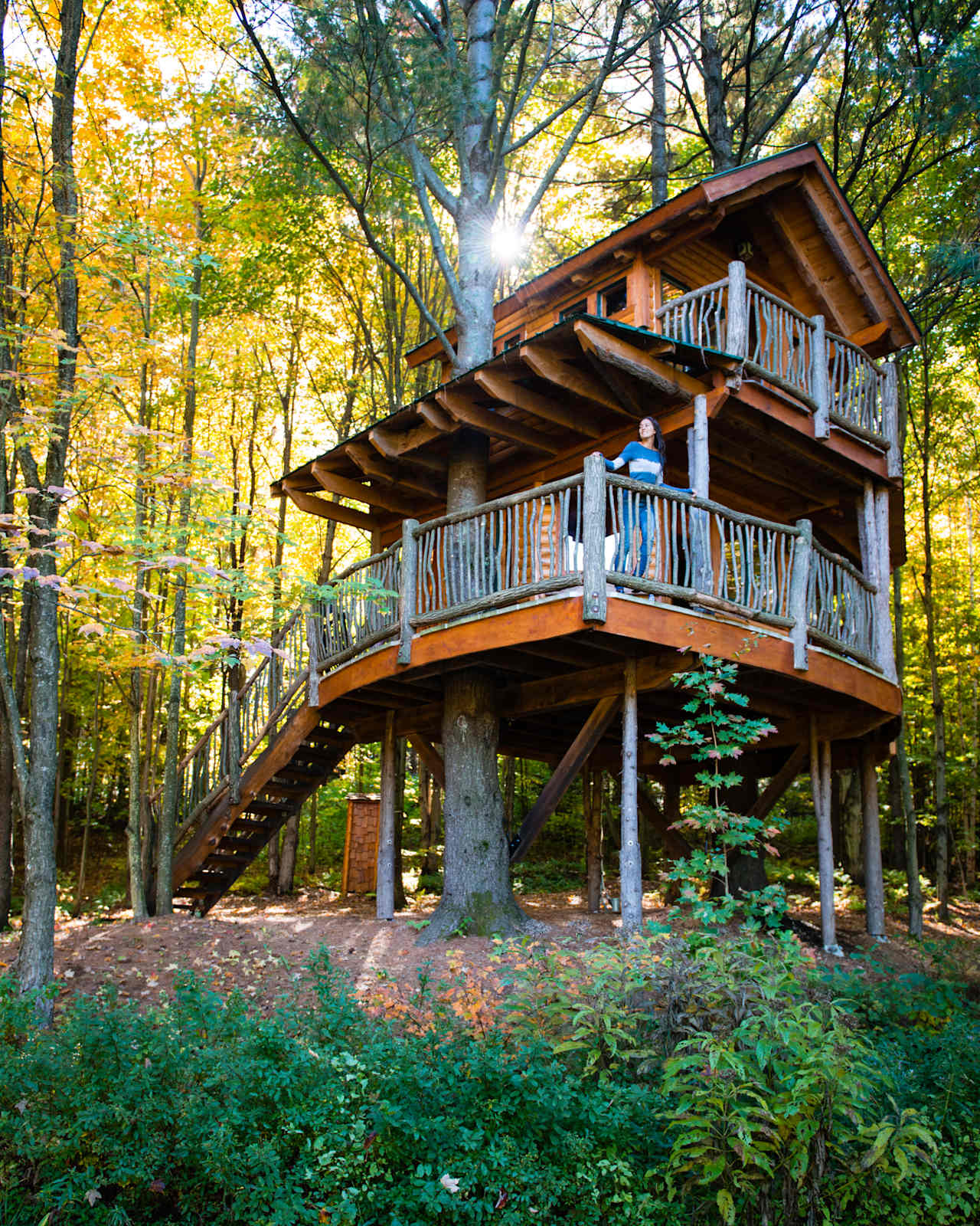 Moose Meadow Lodge & Treehouse