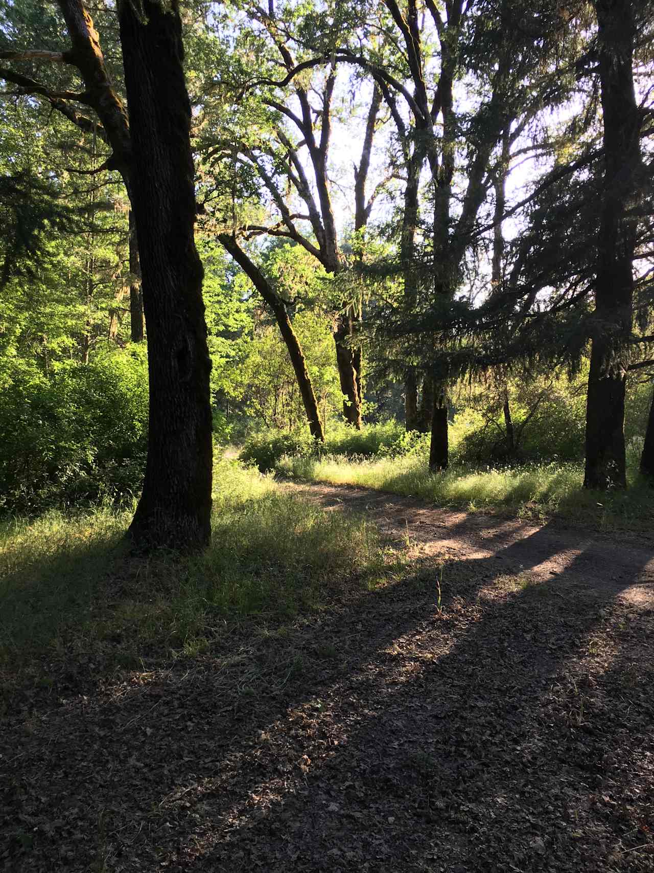 Bear Creek Campground