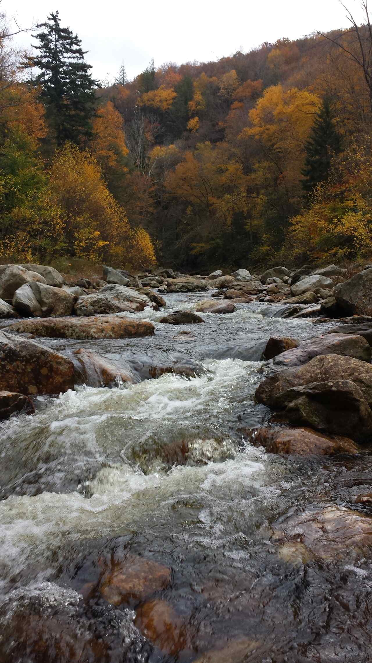 North Bend Picnic Area