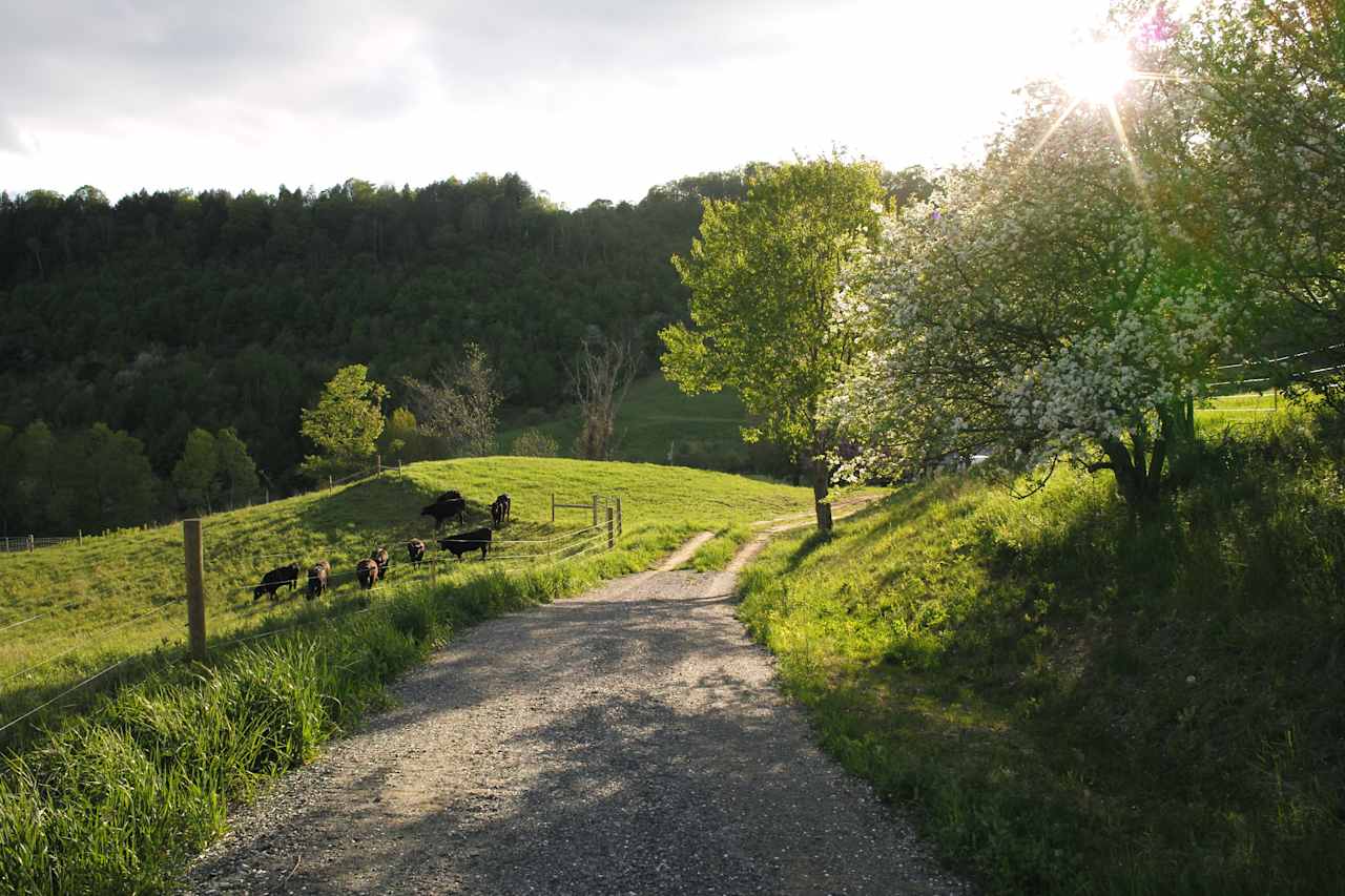 The Farm Road.