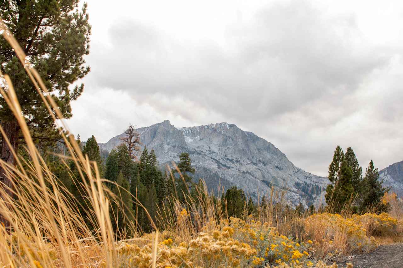 Along the road between Reversed Creek Campground and Gull Lake. 