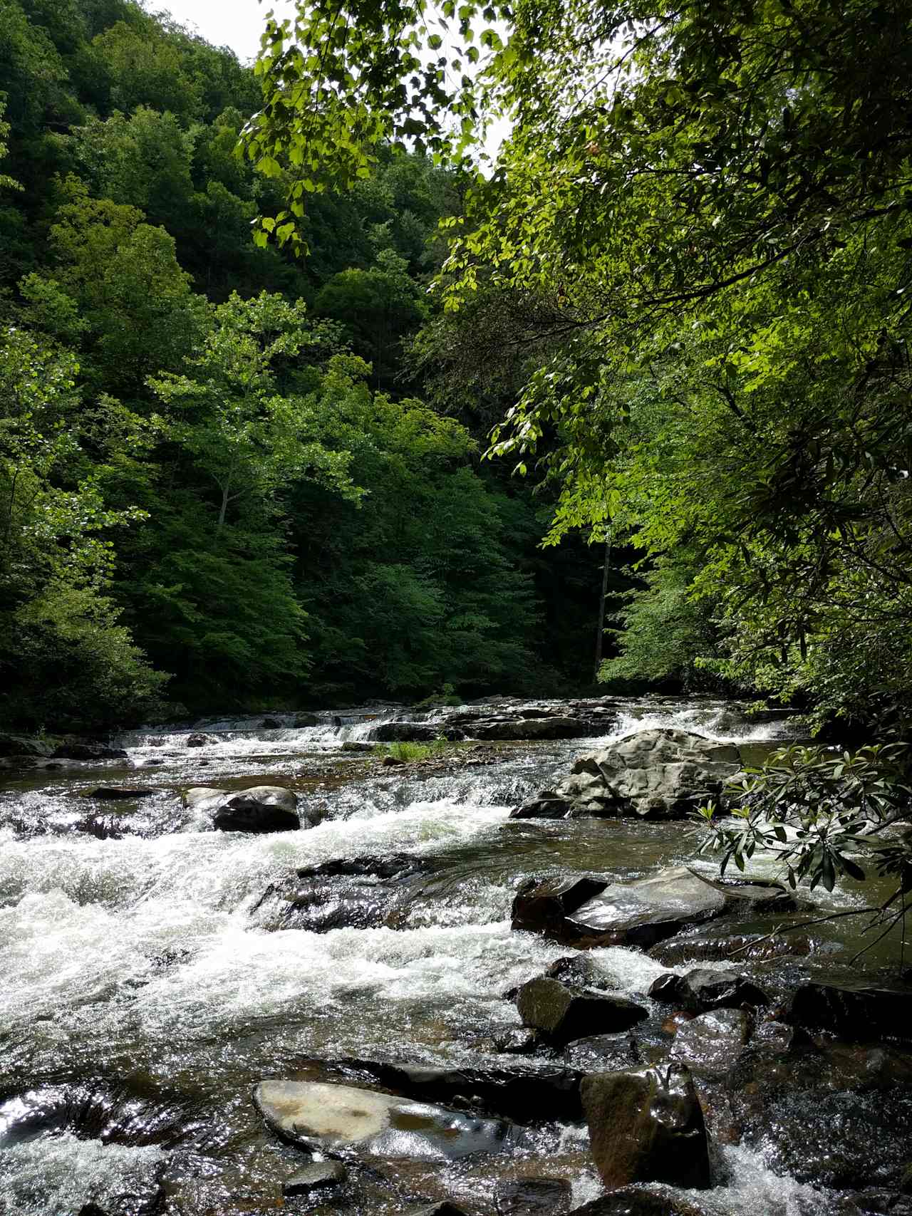 Sights on the hike