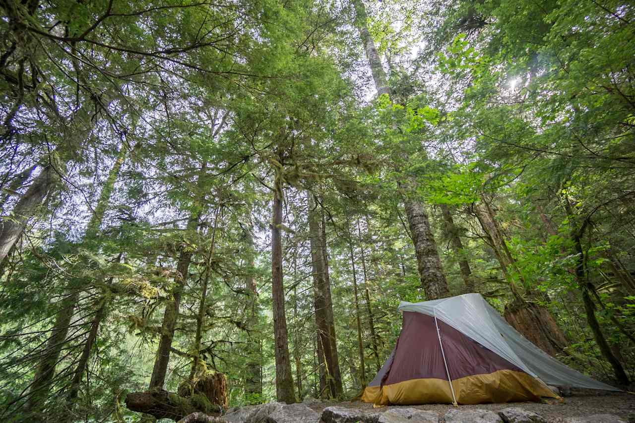 Newhalem Campground