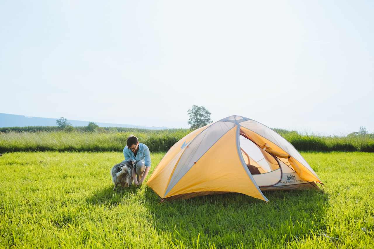 Pitching the tent with Gaston, the farm dog, helping out. 