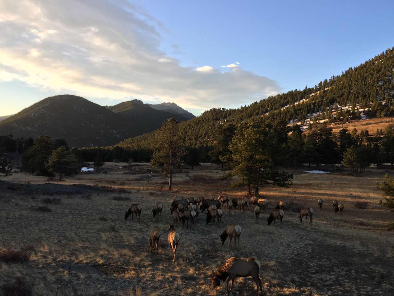 Rocky Branch Shelter #1