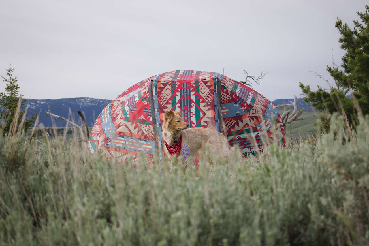 Surrounded by sweet sagebrush. 