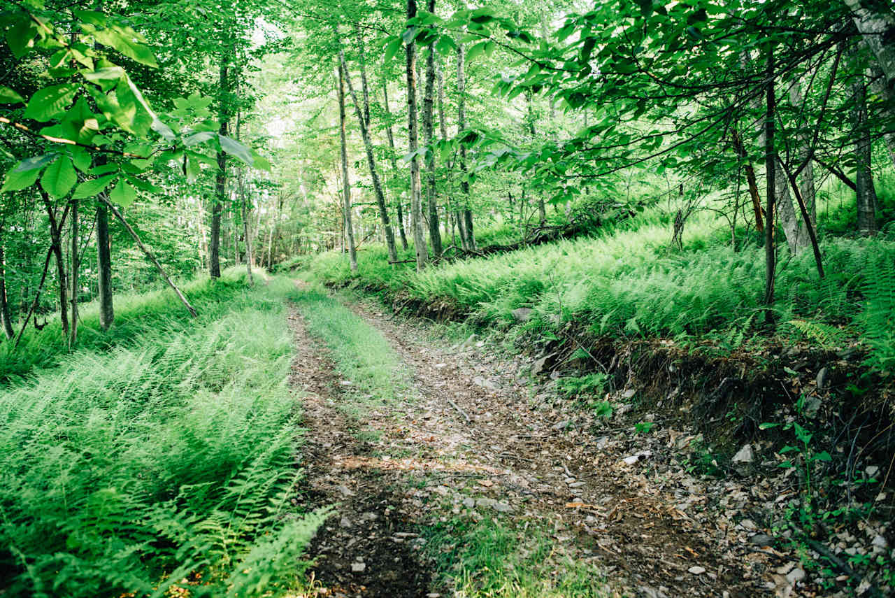 the camp site is just a short walk up the beautiful road