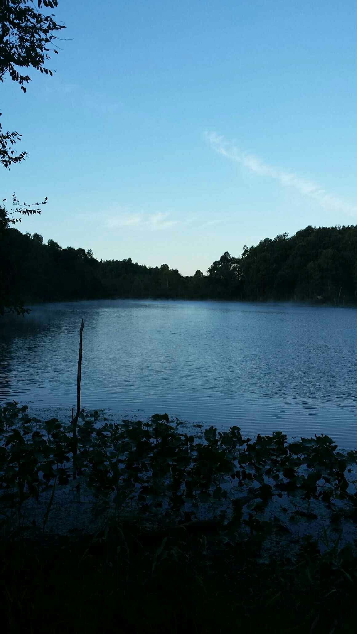 Enjoy yourself! Cool down in 1 of several lakes on the property!