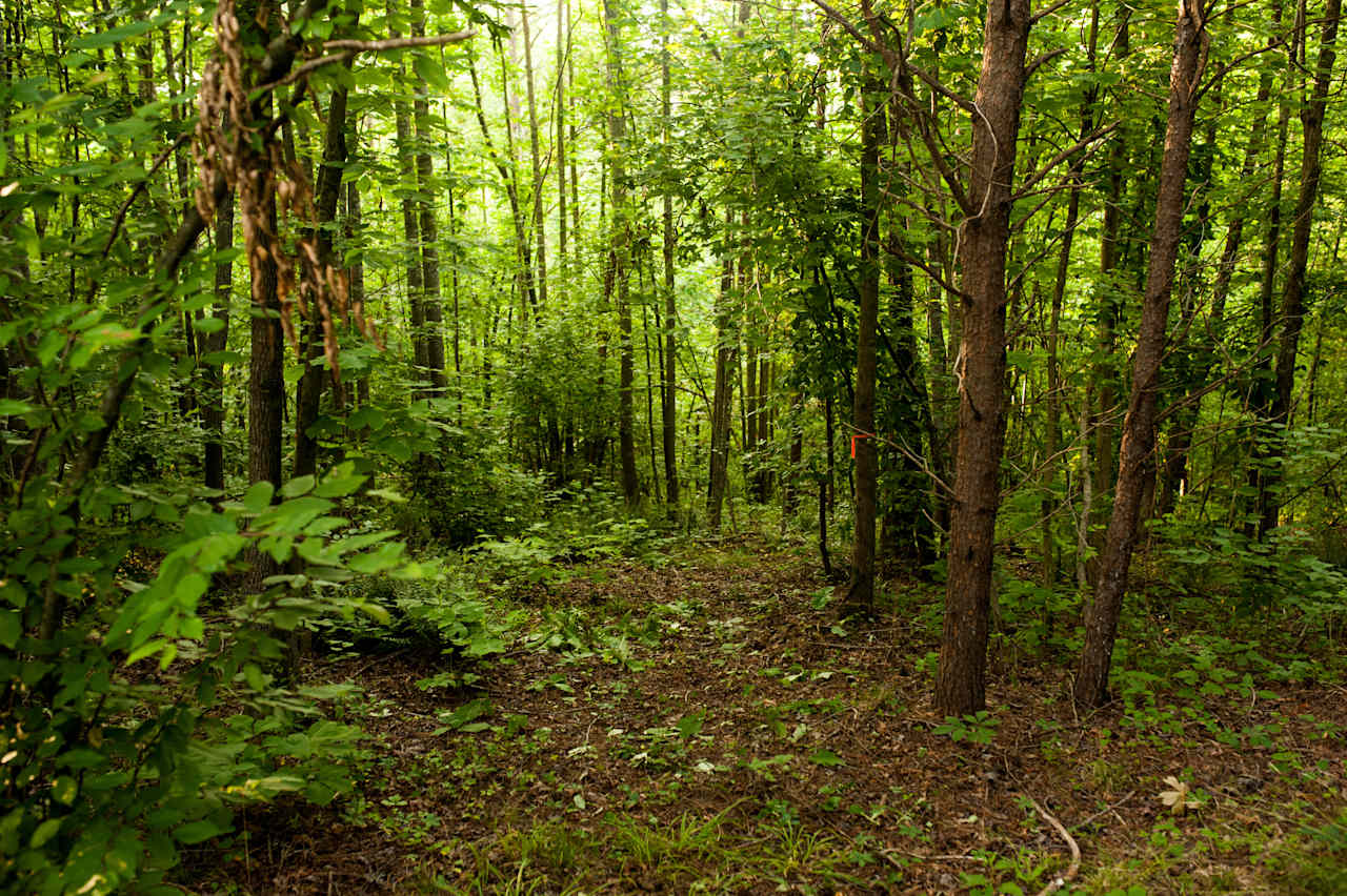 Feeling adventurous? 
On campsite one, there's a trail going down to the creek! 