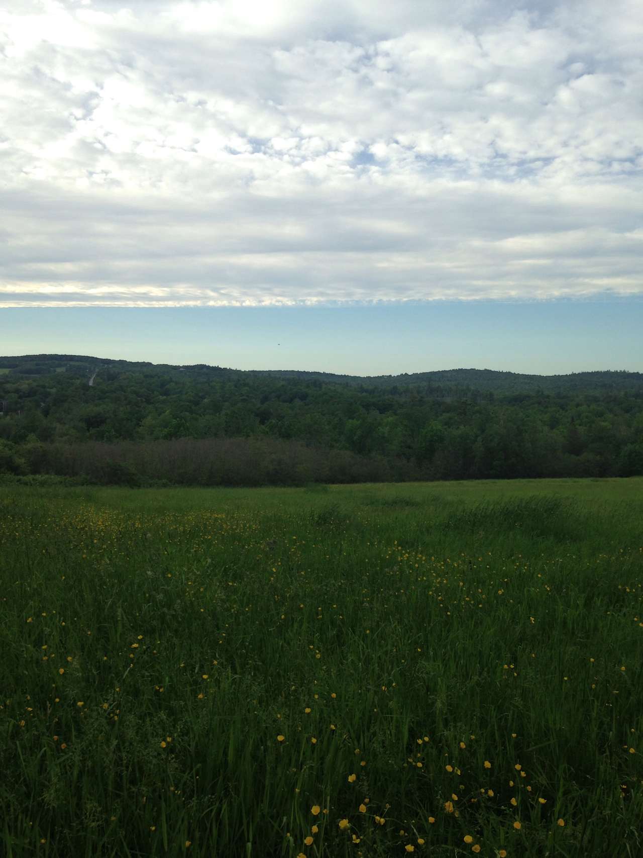 The view from your camping spot