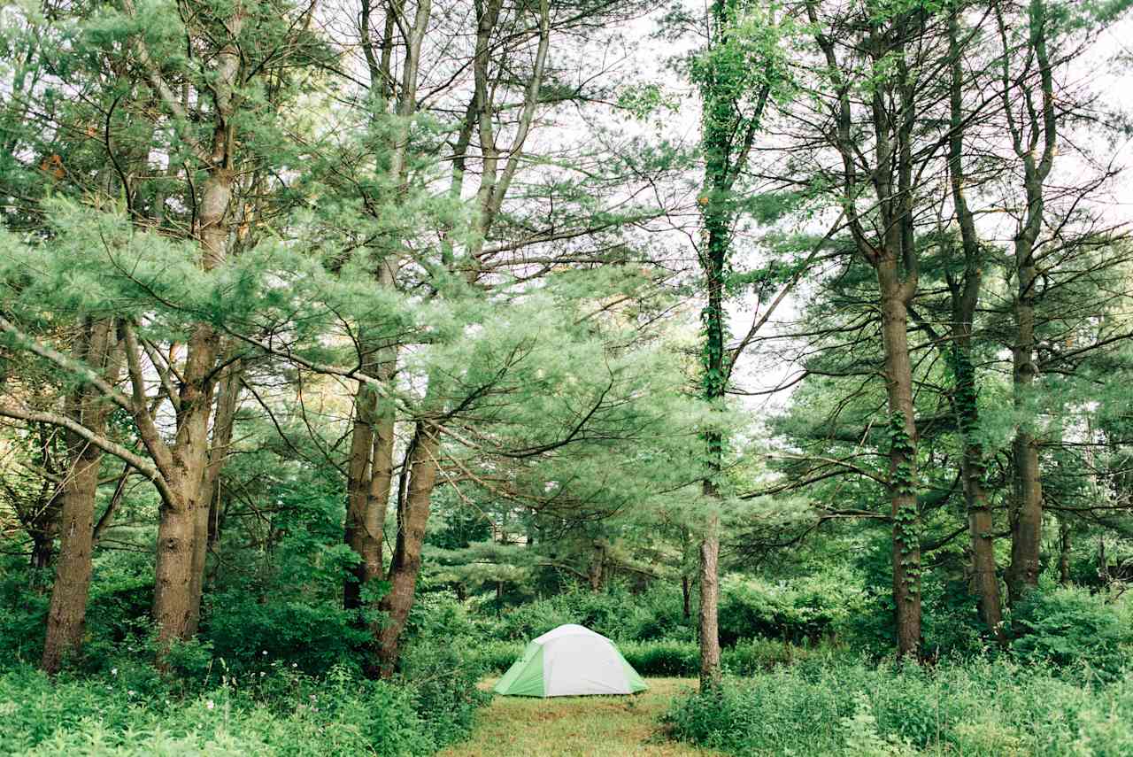 Hawk Meadow Farm