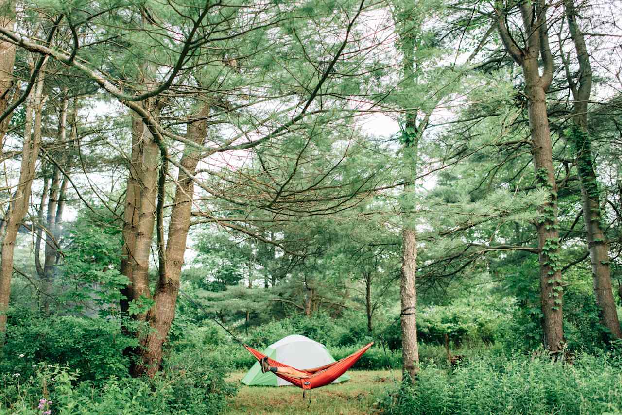 camp surrounded by beautiful Hemlock & Black Locust trees