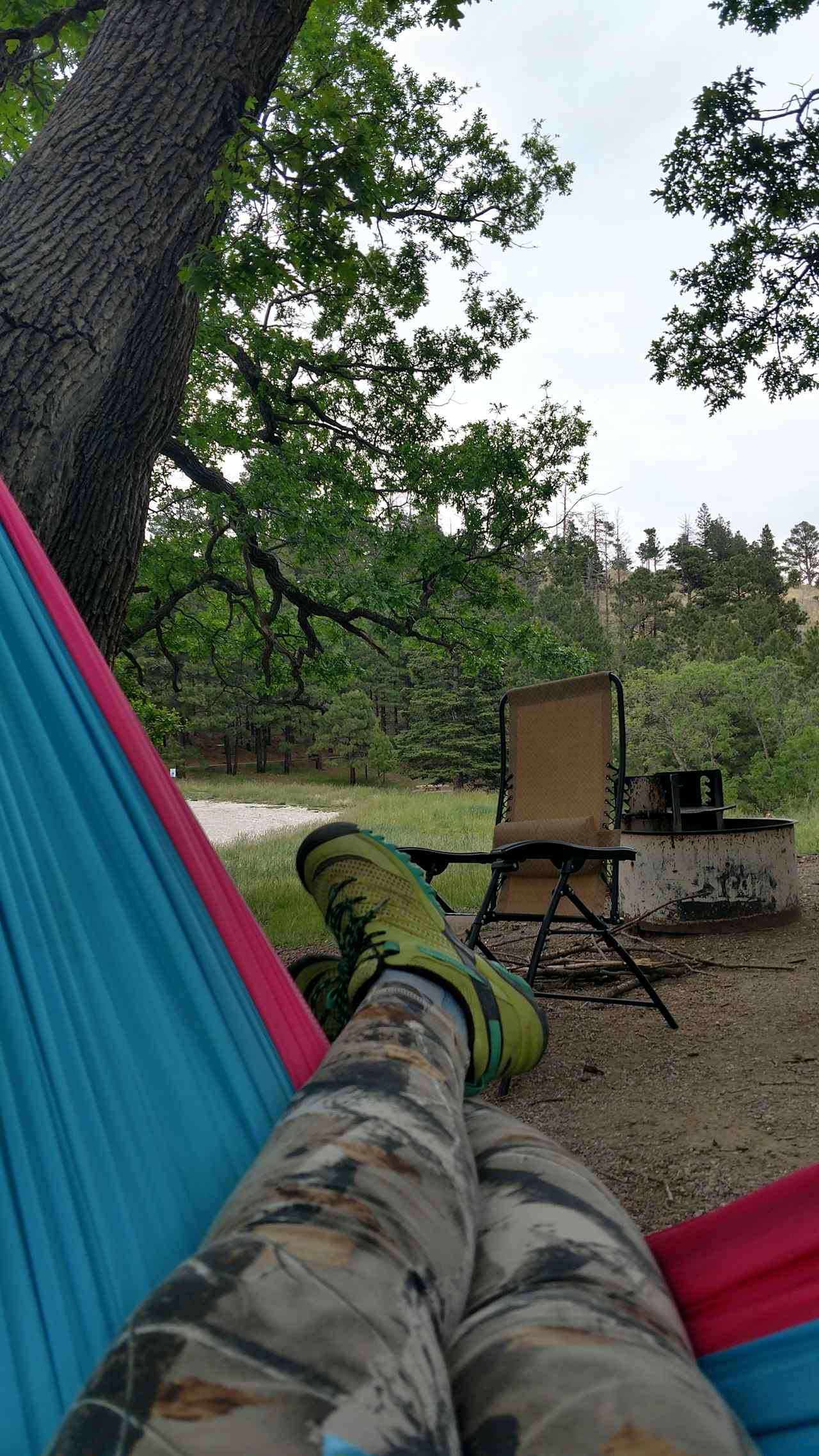 The view from my hammock.