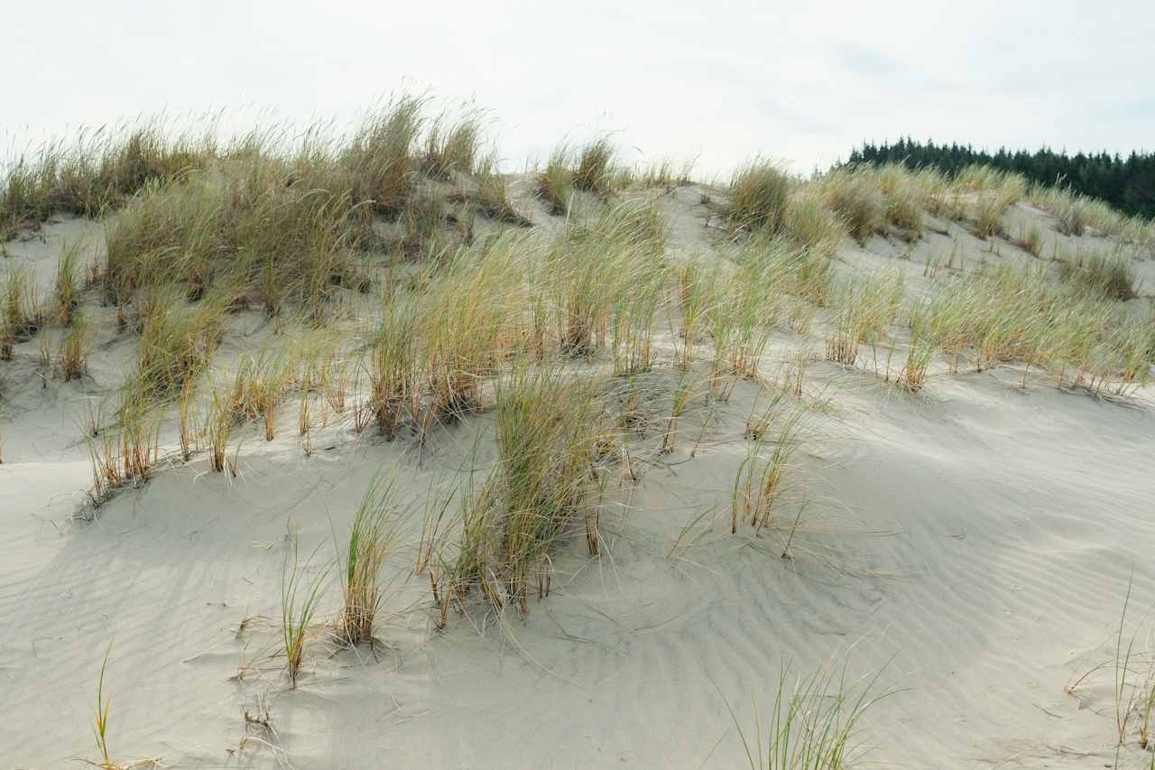 The lodge is only 30 minutes from the Oregon Dunes.