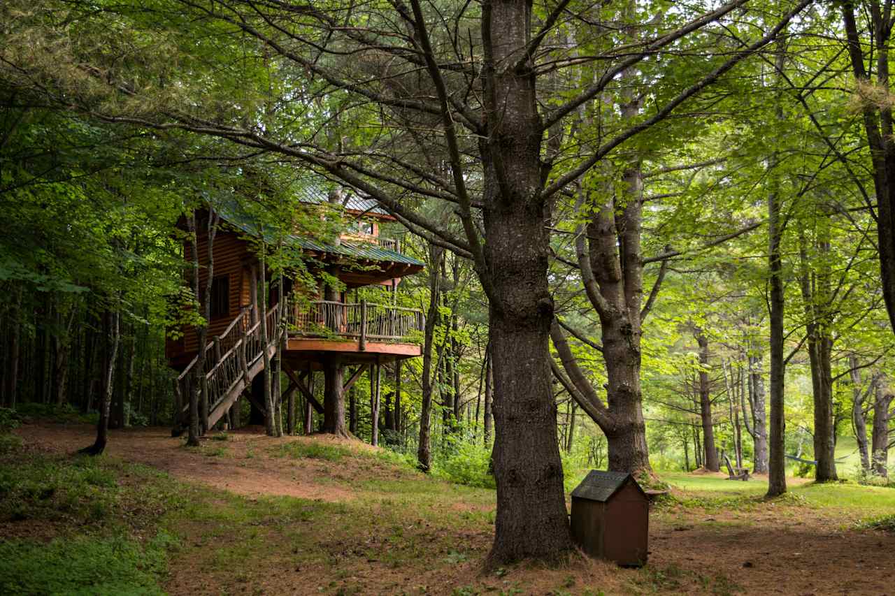 Firs views of Moose Meadow Treehouse