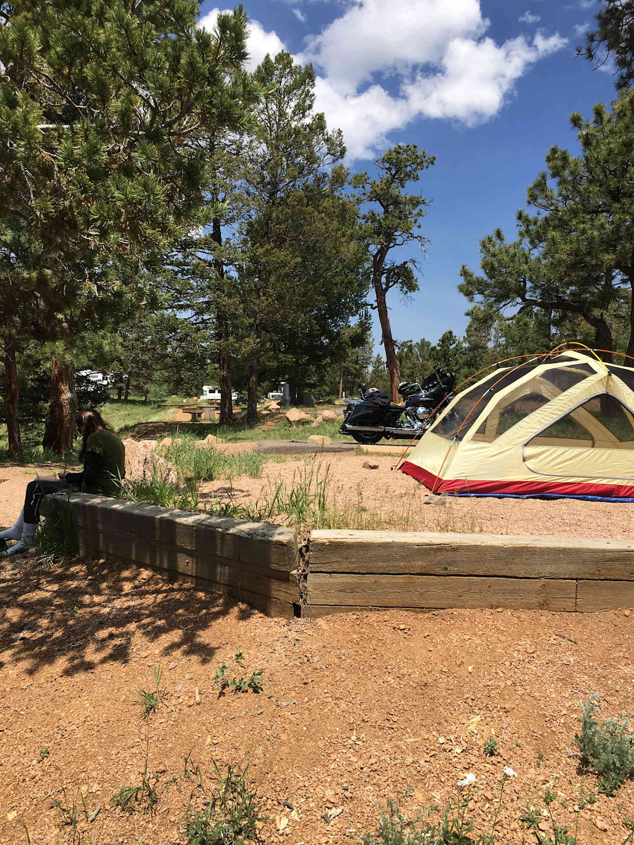 This site was very swell. The restrooms were within ~100 feet of our site. We were surrounded by mountains at site 44.