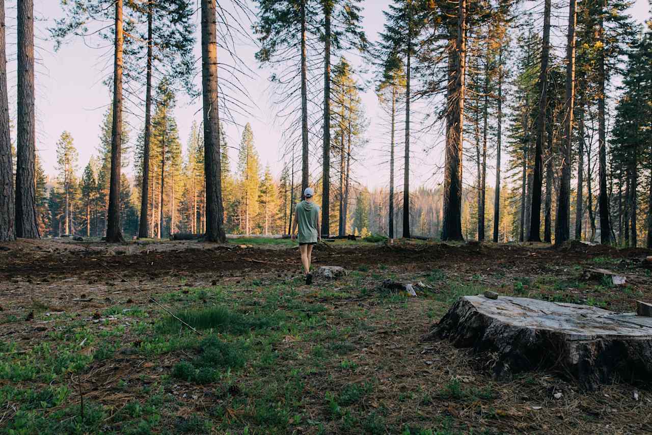 Stumpy Meadows Campground