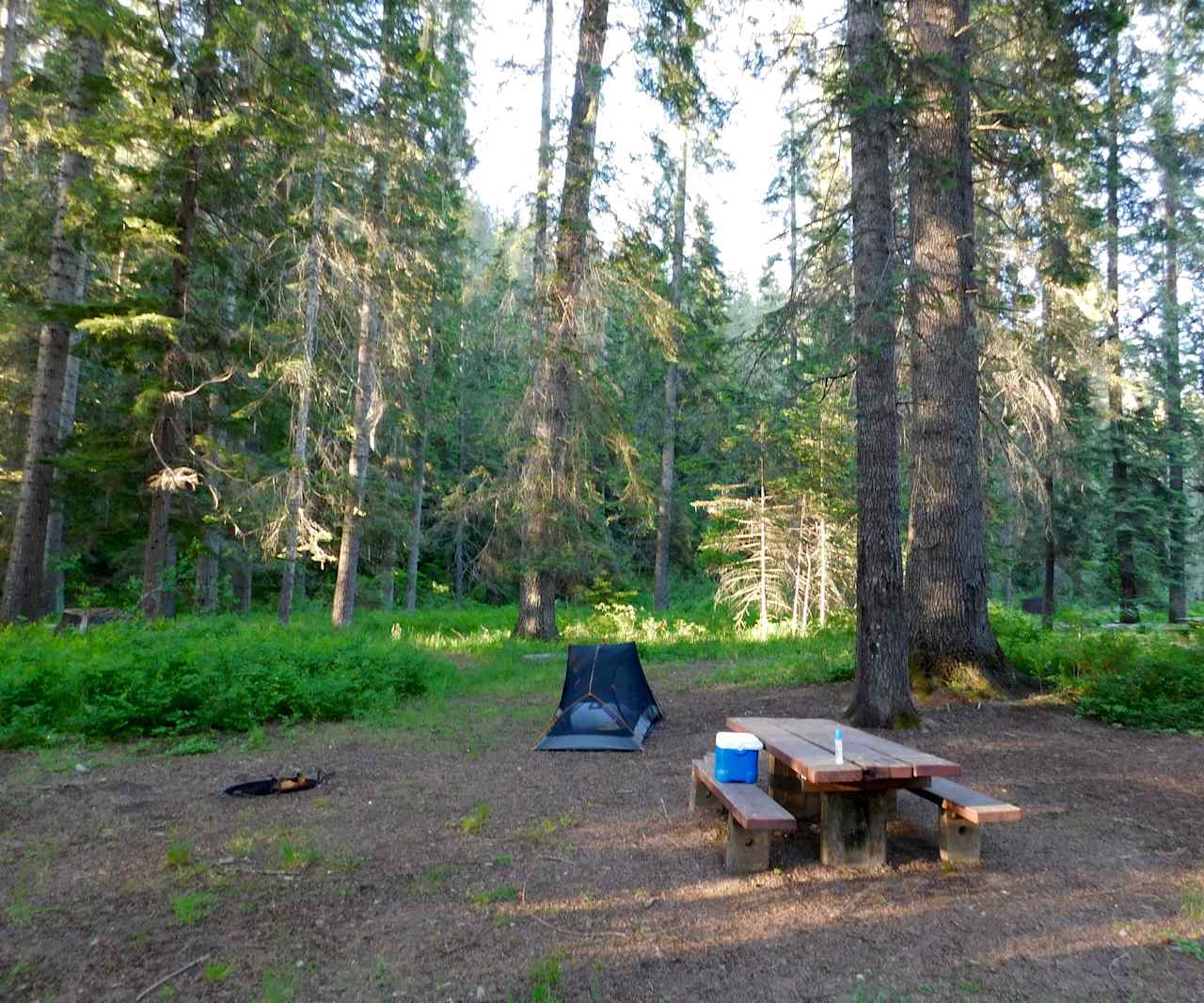 Huge campsite - tiny tent