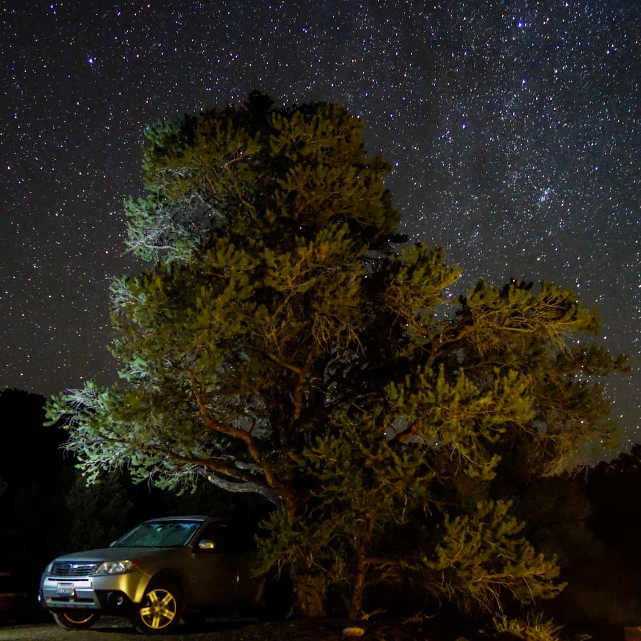 Slumberjack, the Sleeping Forester under a starry sky. #imaslumberjackandimokay #isleepallnightandidriveallday #slumberjackthesleepingforester