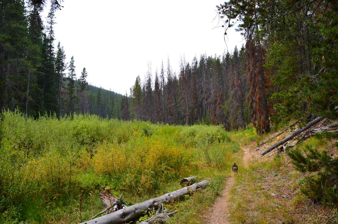 May Creek Campground