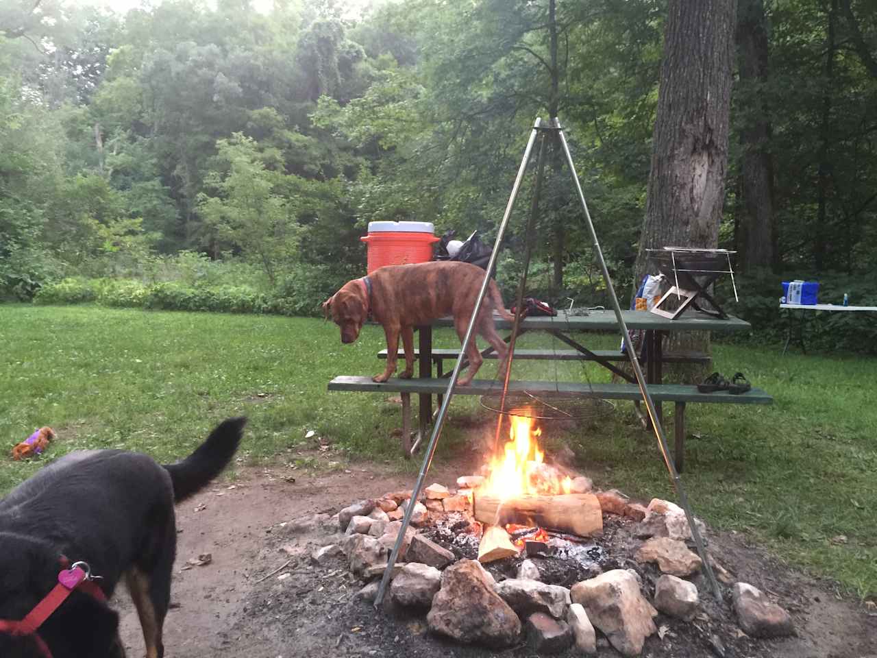 Two Lakes Campground