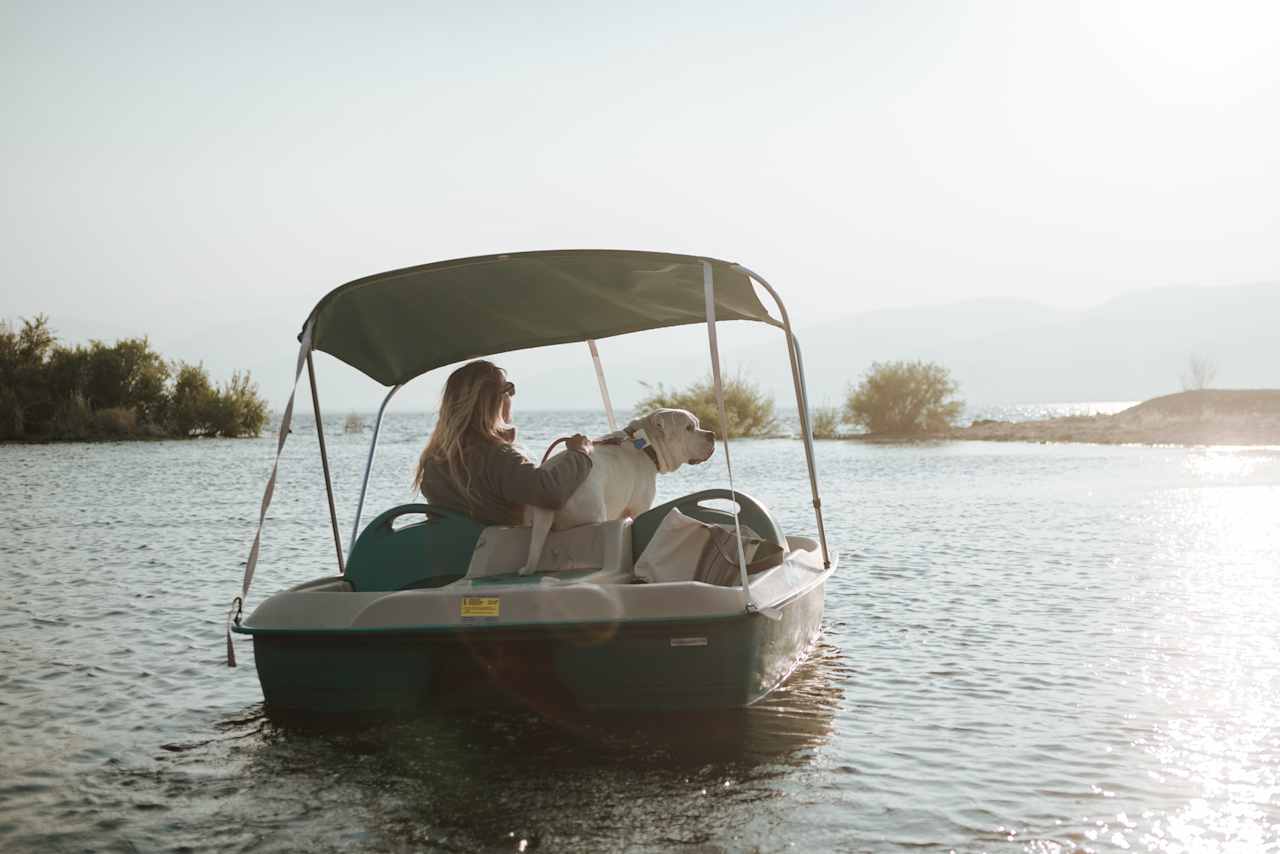 Our dog even got to partake in the lake activities