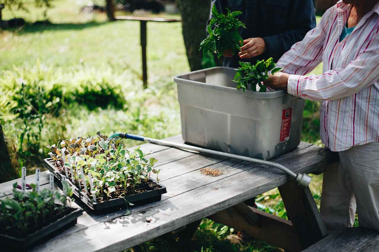 Nature and Nurture Farm