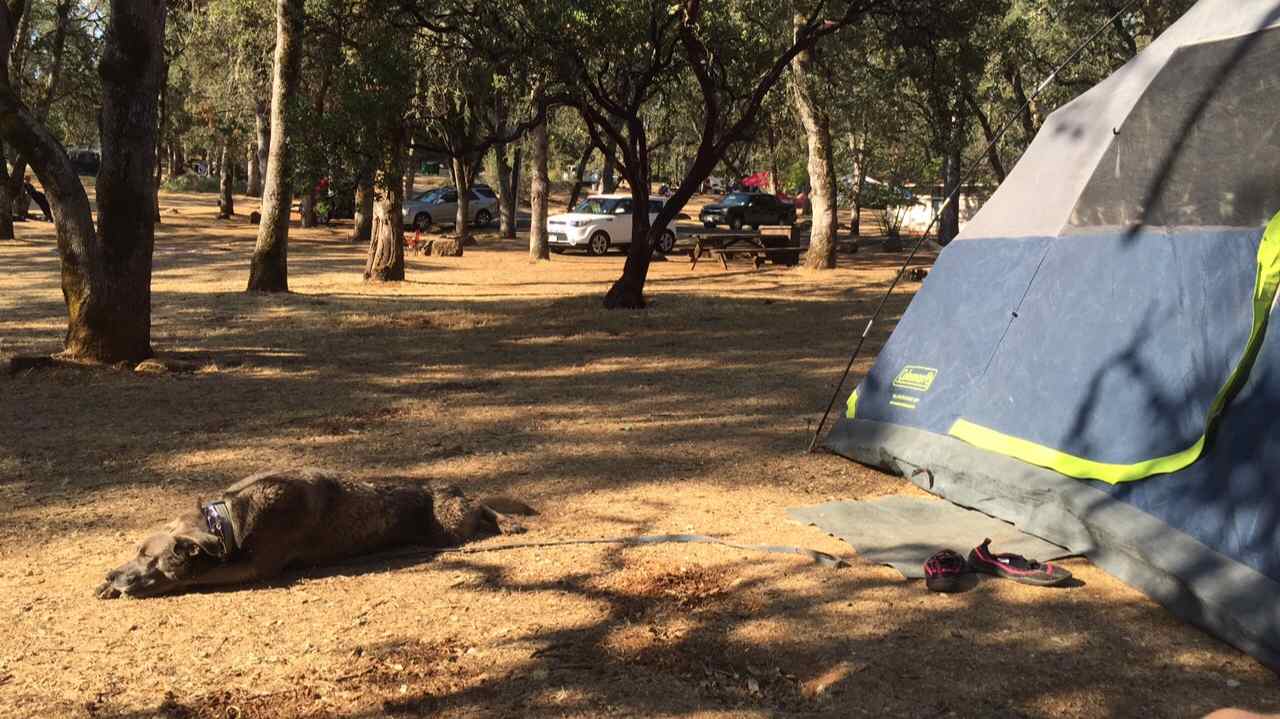 Upper Bayview Campground