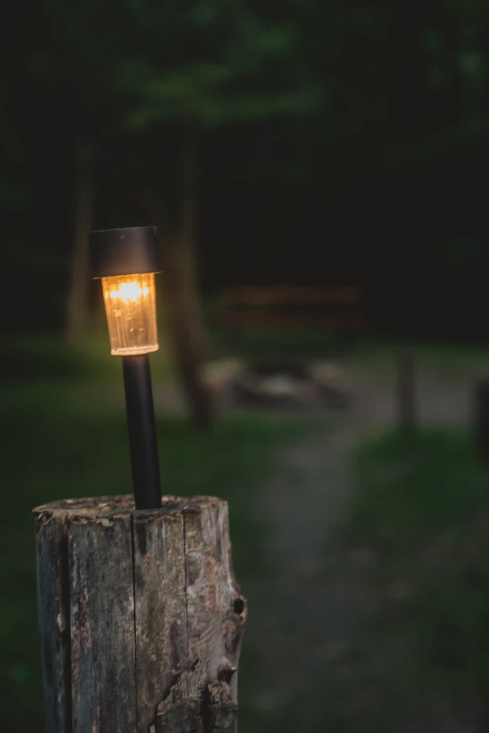 Solar lights line the paths around camp, awesome!