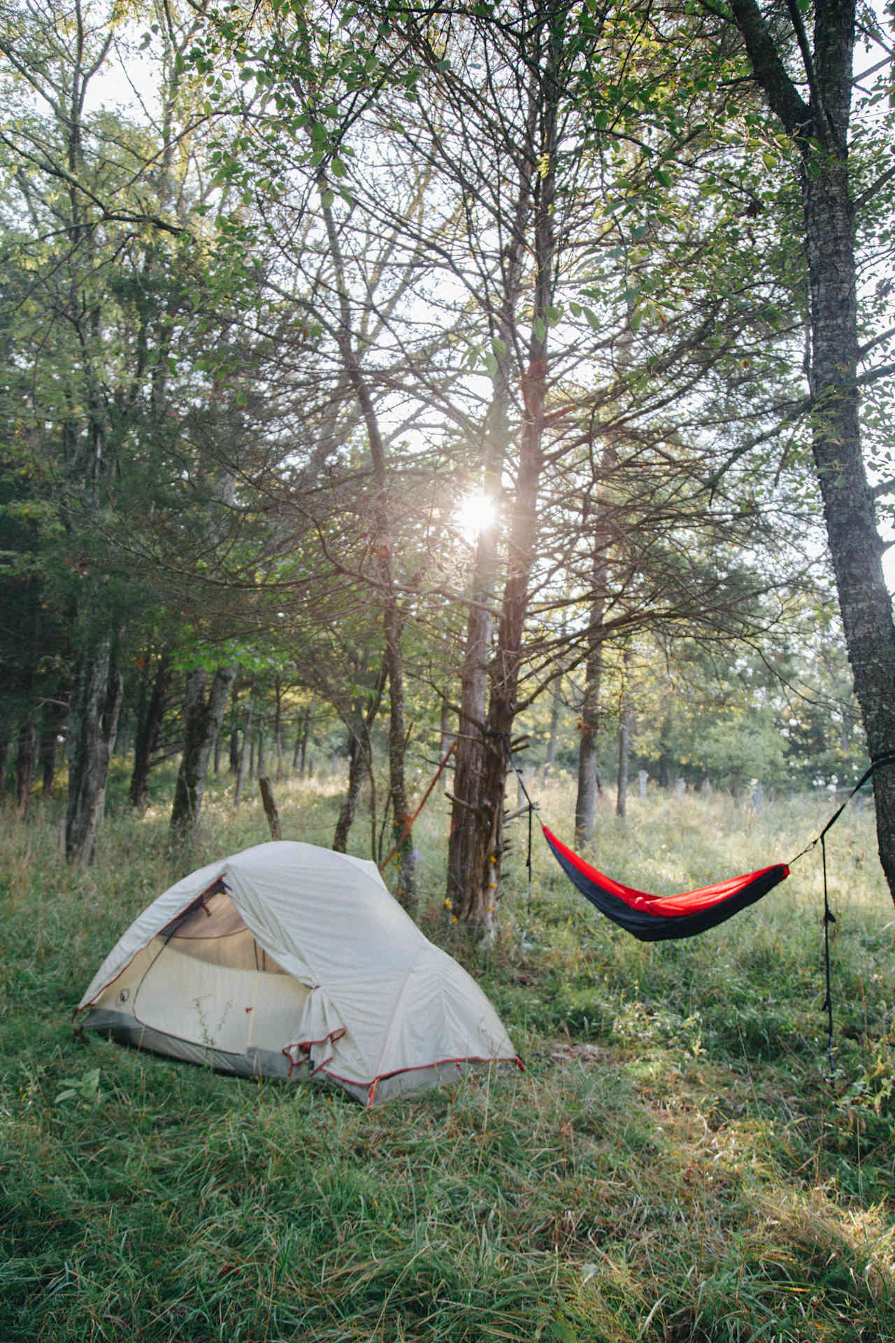 a beautiful place to camp and hammock